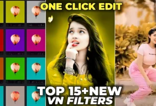 VN Luts Filter Download