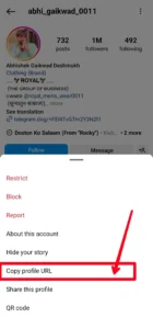 Instagram Profile link copy