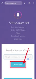 Instagram Story Downloader