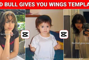 New Red Bull Gives You Wings Capcut Template